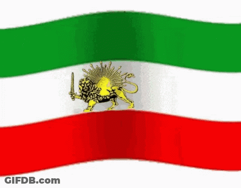 Green White Red Flag With Lion And Sword GIF