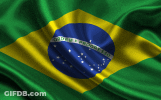 Green Yellow Blue Flag With Ordem E Progresso GIF