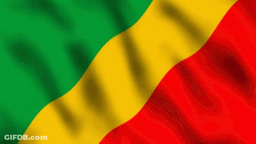 Green Yellow Red Flag Waving GIF