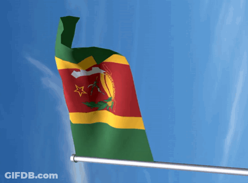 Green Yellow Red Flag With Red Star GIF