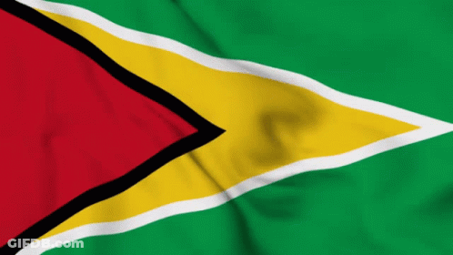 Green Yellow Red Flag With White Stripe GIF