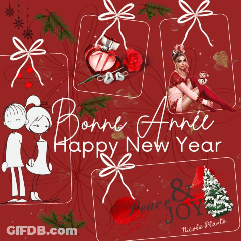 Greeting Card Saying Bonne Annee Happy New Year GIF