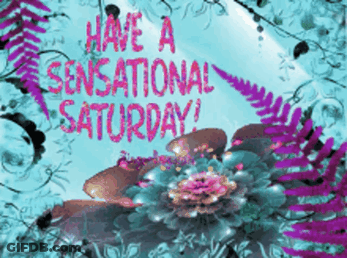 Greeting Card Saying Have A Sensational Saturday GIF