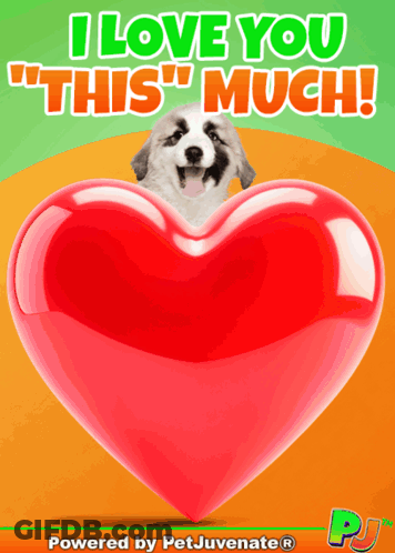 Greeting Card Saying I Love You This Much GIF