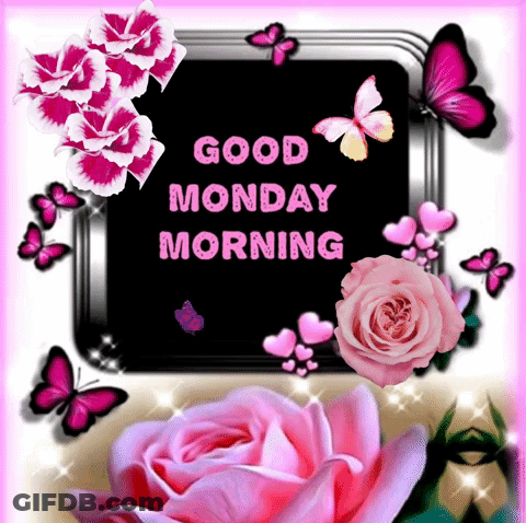 Greeting Card Saying It's Monday GIF