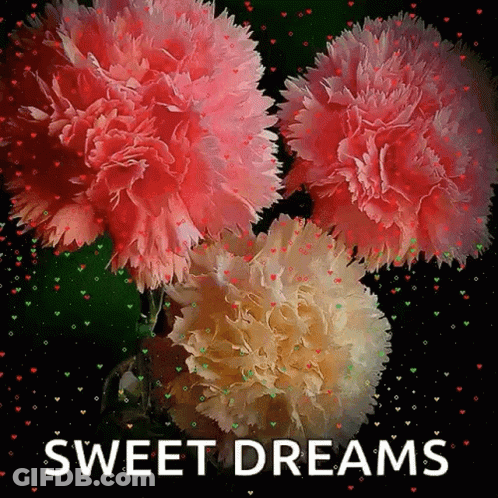Greeting Card With Flowers Sweet Dreams GIF