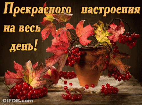 Greeting Card With Potted Plant Berries And Leaves GIF