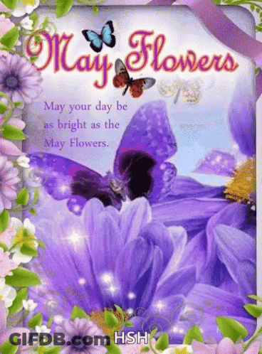 Greeting Card With Purple Flowers And Butterflies GIF