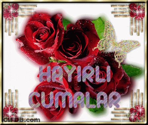 Greeting Card With Red Roses Saying Hayirli Cumalas GIF