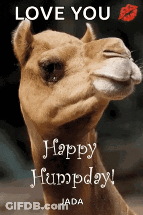 Greeting Happy Humpday GIF