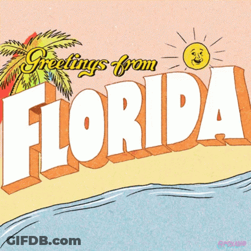 Greetings From Florida Sunny Rainbow GIF
