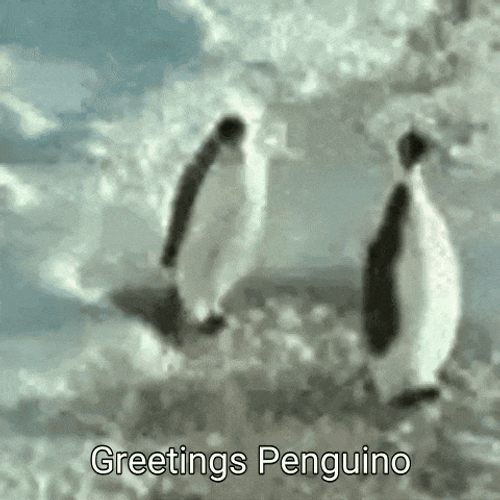 Greetings Penguino GIF