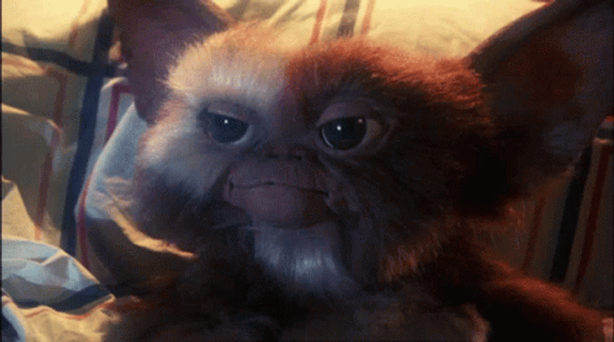 Gremlin Gizmo Sarcastically Shaking His Head GIF