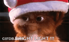 Gremlin In Santa Hat Saying Bright Light GIF