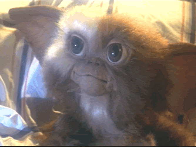 Gremlin Mogwai Blinking GIF