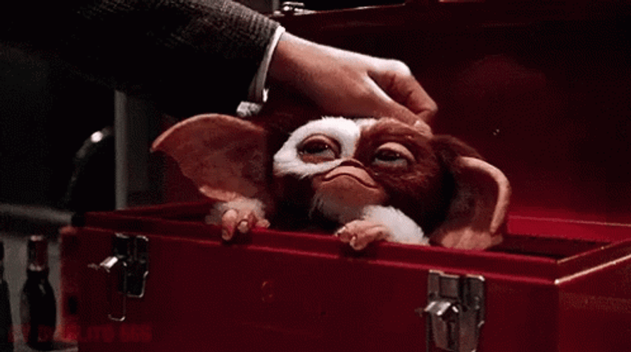 Gremlin Mogwai Fall Asleep GIF