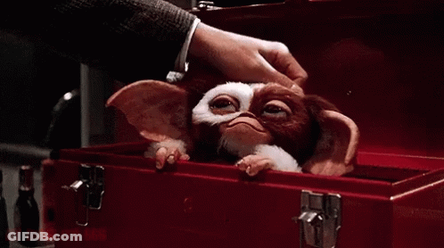 Gremlin Saying Gizmo Kaka GIF