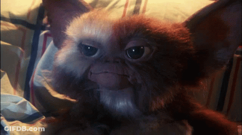 Gremlin Wearing Glasses Laying On Table GIF