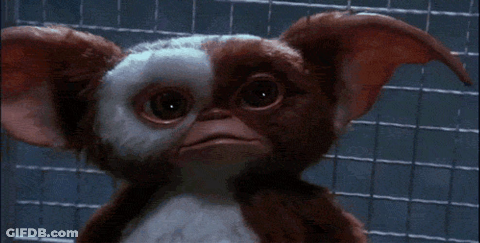 Gremlins Cute Surprised Eyes GIF