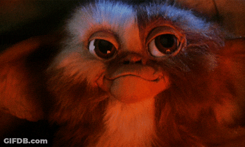 Gremlins Gizmo Beautiful Eyes GIF