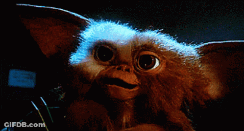Gremlins Gizmo Close Up GIF