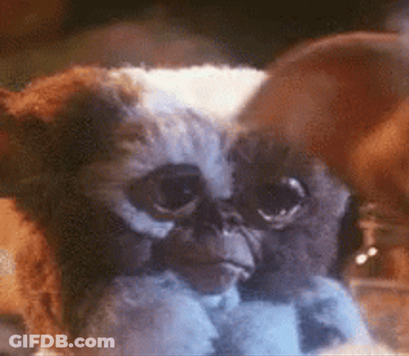 Gremlins Gizmo Sad Crying GIF