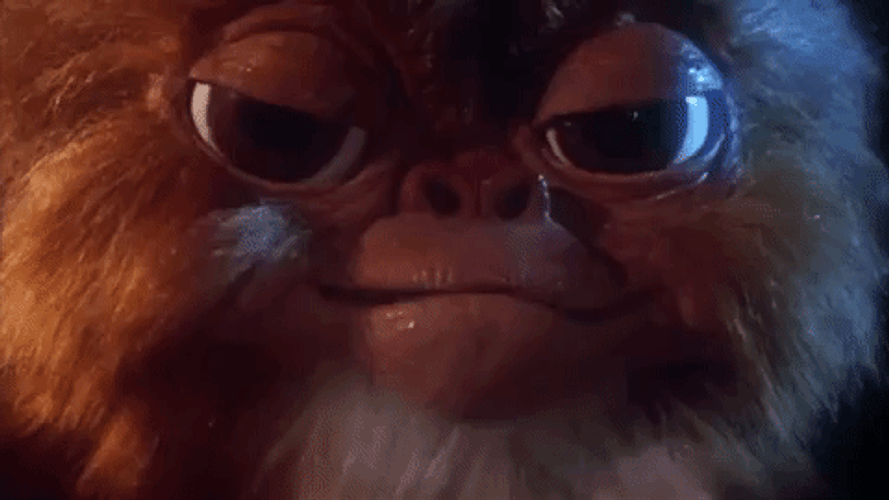 Gremlins Gizmo Sad Tears GIF