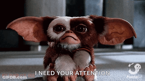 Gremlins Gizmo Saying I Need Your Attention GIF