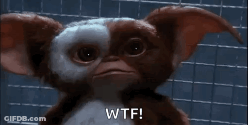 Gremlins Gizmo Saying Wtf GIF