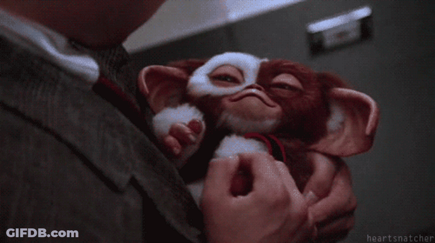 Gremlins Gizmo Sleeping Cute GIF