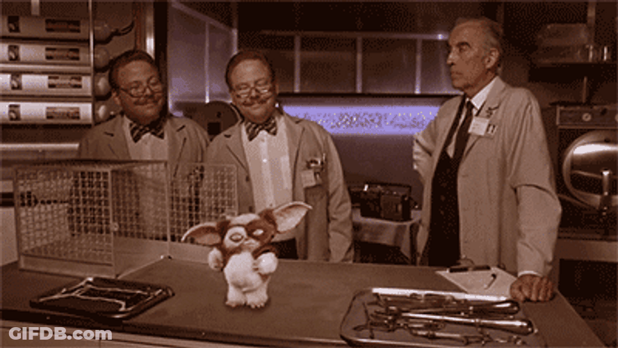 Gremlins Vintage Gizmo Dance GIF