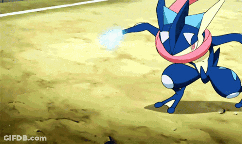 Greninja Sceptile Fight GIF