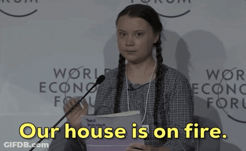 Greta Thunberg Global Warming Speech GIF