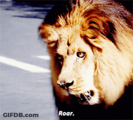 Grey's Anatomy Wild Lion Roar GIF