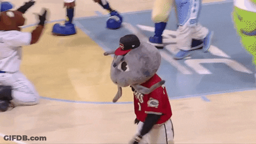 Griddy Muddy The Mudcat GIF