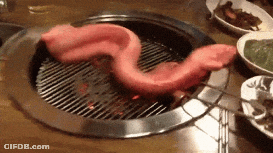 Grilling Alive Eel GIF