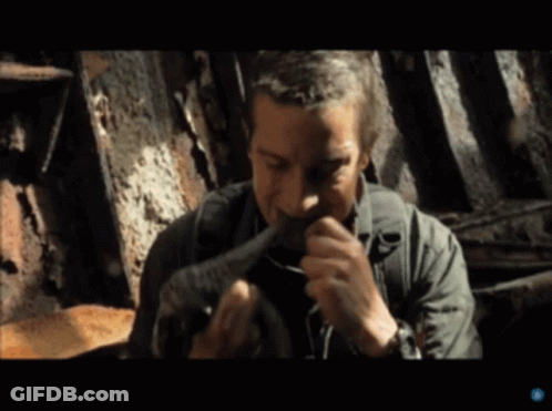 Grills Octopus GIF