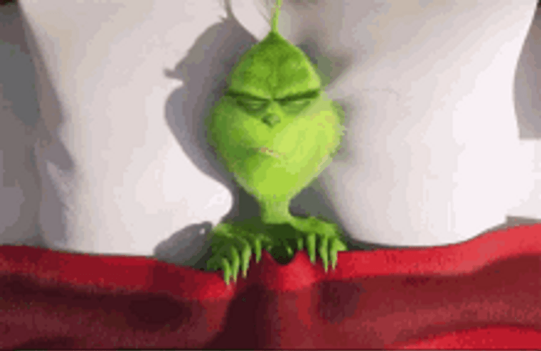 Grinch Wake Up GIF