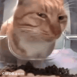Grinch With Angry Face GIF