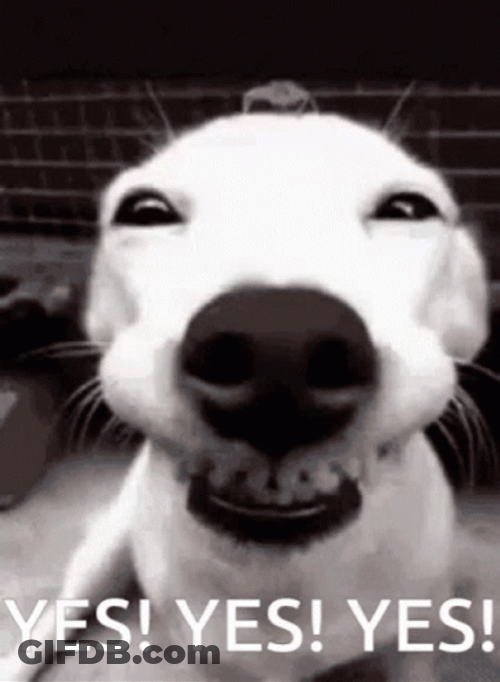 Grinning Dog Yess GIF