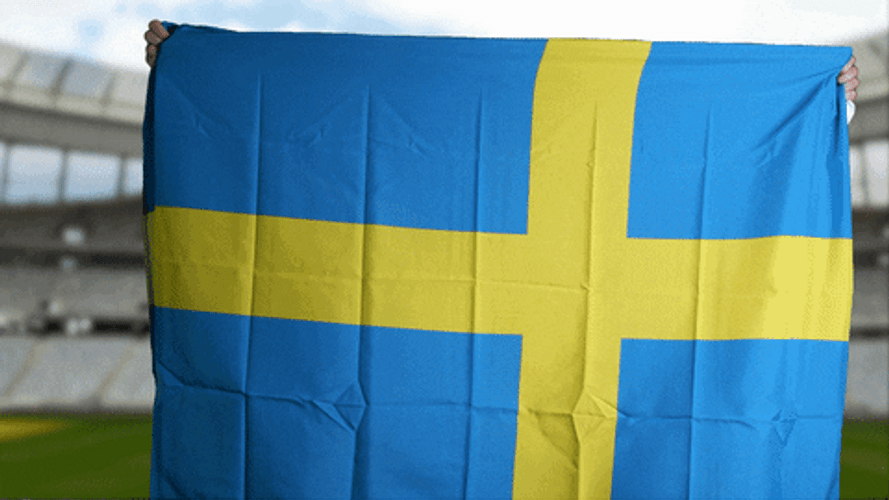 Grinning Man Holding Sweden Flag GIF