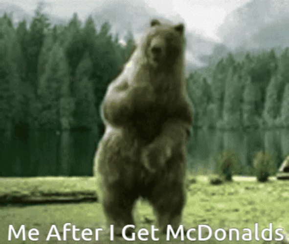 Grizzly Bear Dancing Me After I Get Mcdonalds Meme GIF