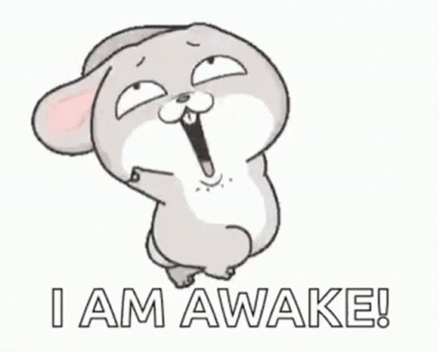 Groggy Bunny Im Awake GIF