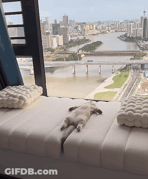 Groggy Cat Lying Down GIF