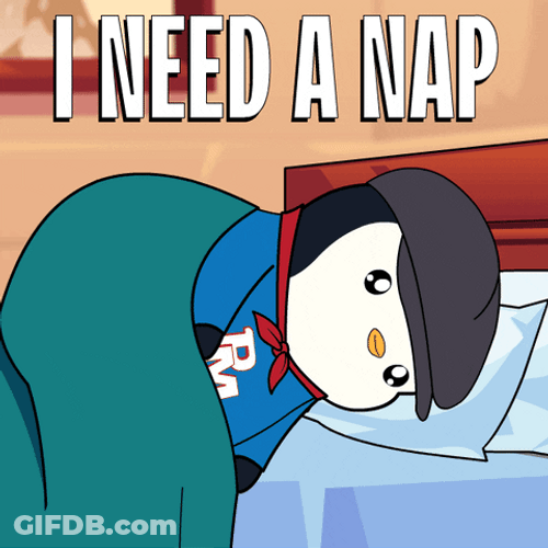Groggy Pudgy Penguin GIF