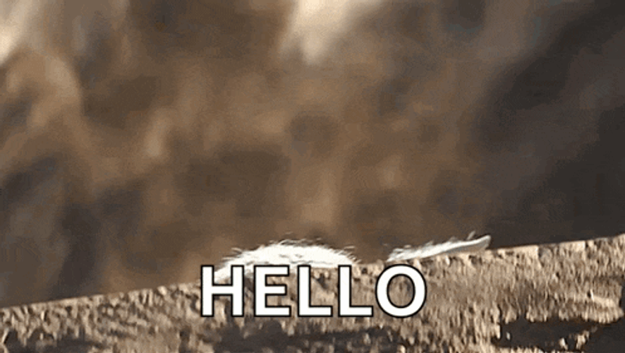 Grogu Star Wars GIF