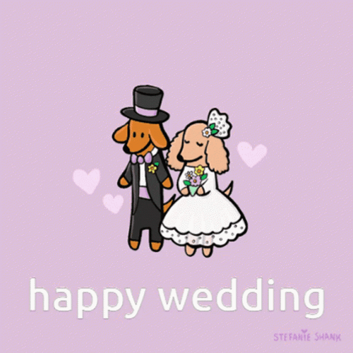 Groom Bride Dog Wedding GIF