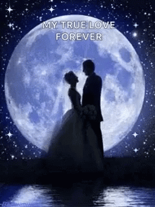 Groom Bride Moon GIF
