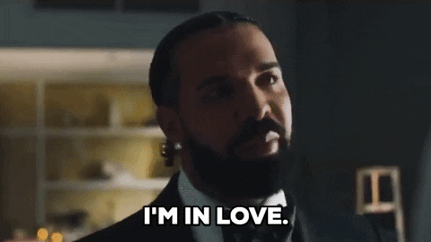 Groom Drake I'm In Love GIF