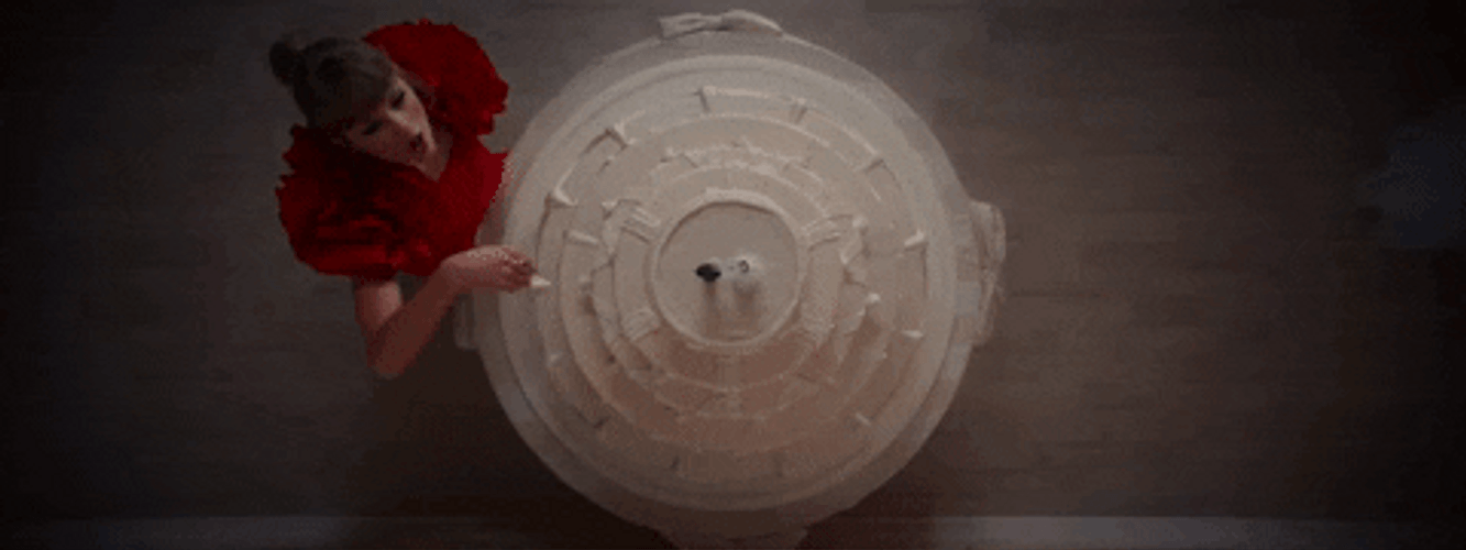 Groom Wedding Cake GIF